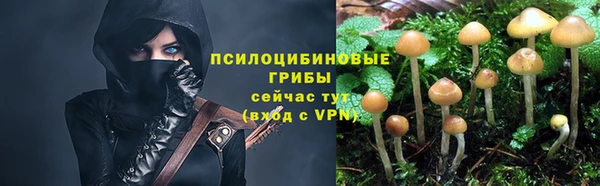 прущие грибы Беломорск
