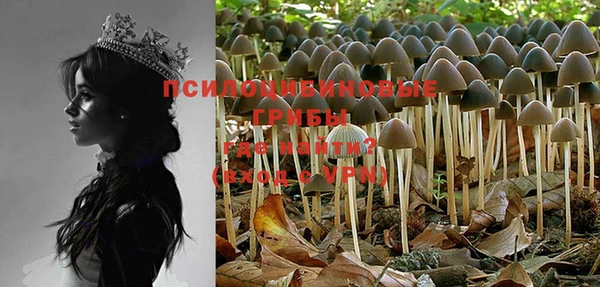 PSILOCYBIN Балабаново