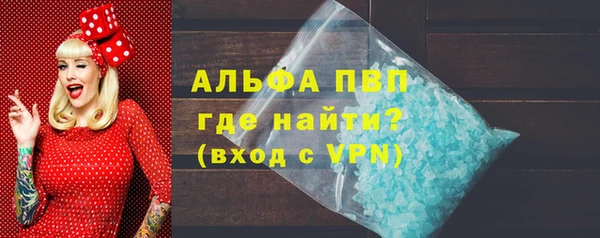 PSILOCYBIN Балабаново