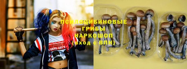 СК Инта